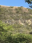 IMG_2992