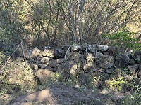 IMG_2994