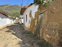 IMG_2975