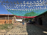 IMG_2959