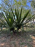 IMG_3065