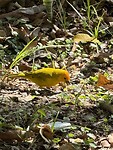 IMG_3085