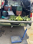 IMG_3108