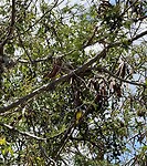 IMG_3118