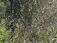 IMG_3130