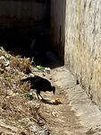 IMG_3190