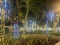 IMG_3766