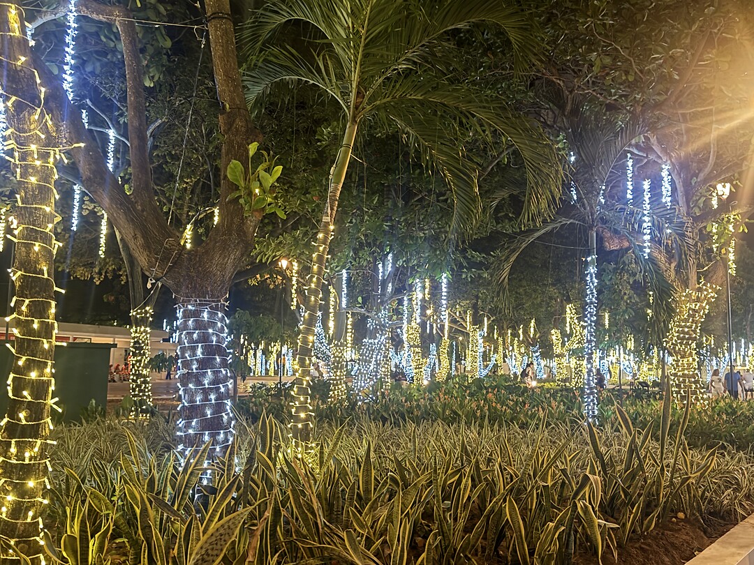 IMG_3766