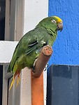 IMG_3859