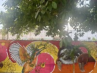 IMG_3868