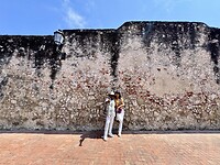 IMG_3779