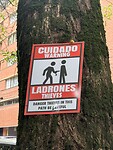IMG_3610