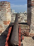 IMG_3914