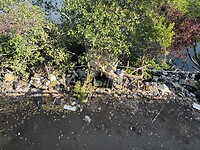 IMG_3892