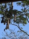 IMG_4111