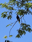 IMG_4108