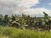 IMG_4096
