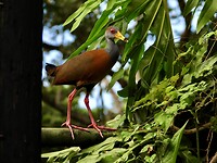 DSCN0172