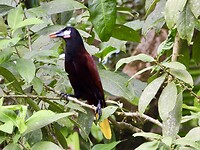 DSCN0161