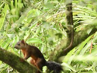 DSCN0160