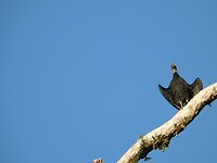 IMG_4401