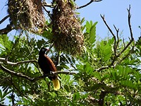 IMG_4398