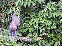 IMG_4377