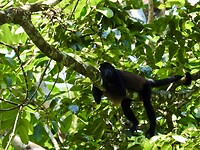 IMG_4337