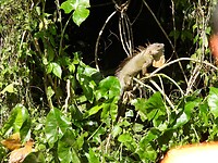 IMG_4328