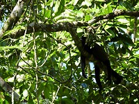 DSCN0117