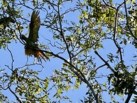 IMG_4191