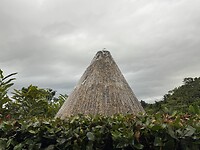 IMG_4623