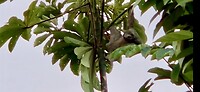IMG_4720