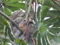 DSCN0297