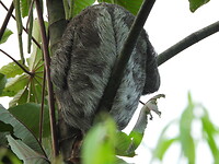 DSCN0292