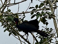IMG_4662