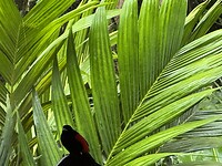 IMG_4649