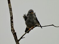 DSCN0284
