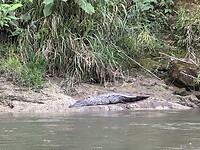 IMG_4903
