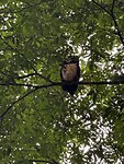 IMG_4878