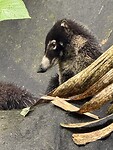 IMG_4760