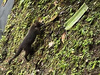 IMG_4759