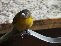 DSCN0303