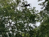 IMG_4876