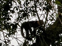 IMG_4895