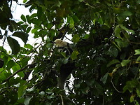 DSCN0407