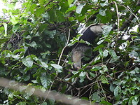 DSCN0405
