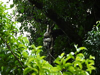 DSCN0402