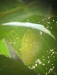 IMG_5095