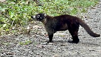 IMG_5068